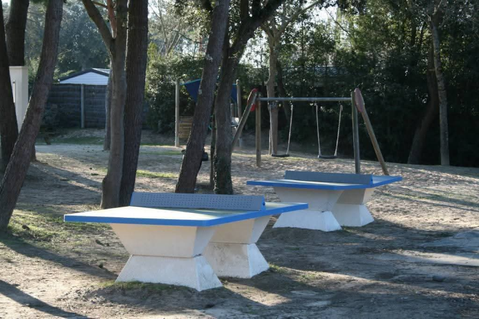 ping pong dormant
