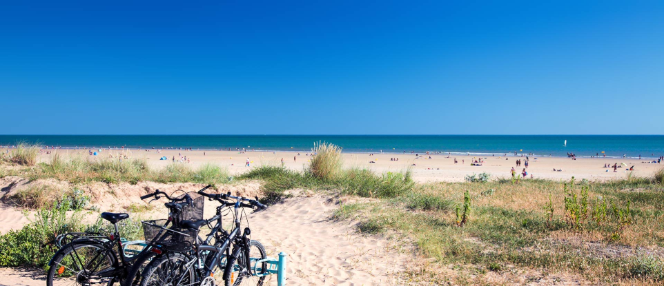 surf en vendée